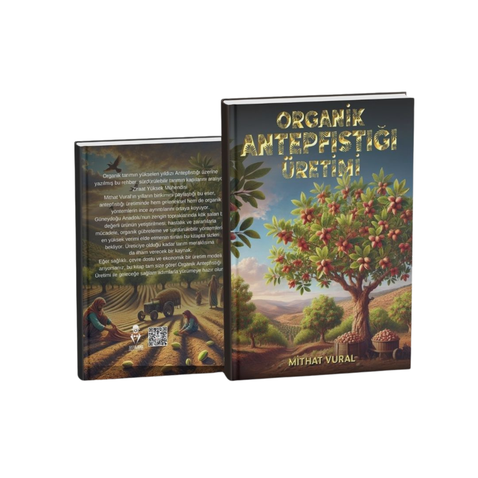 ORGANİK ANTEPFISTIĞI ÜRETİMİ