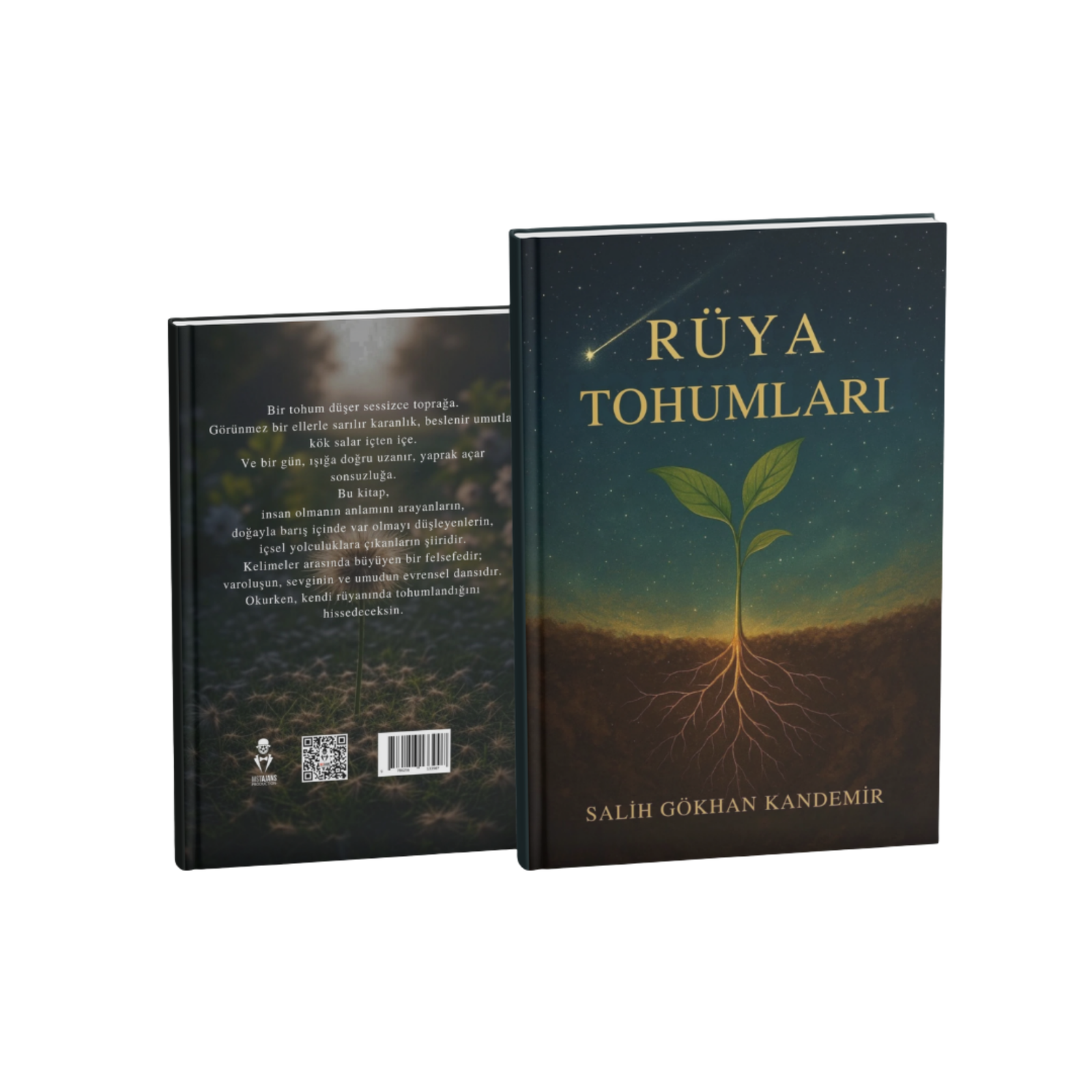 RÜYA TOHUMLARI