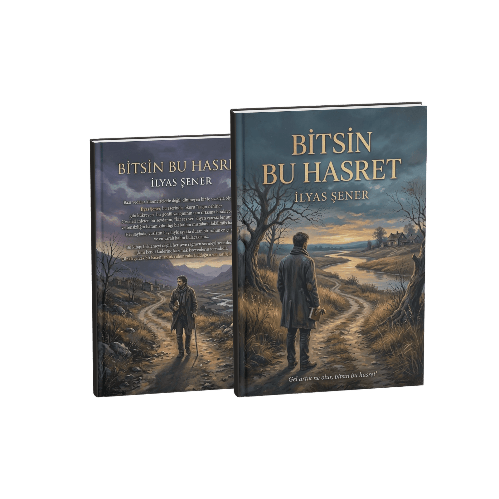 Bitsin Bu hasret