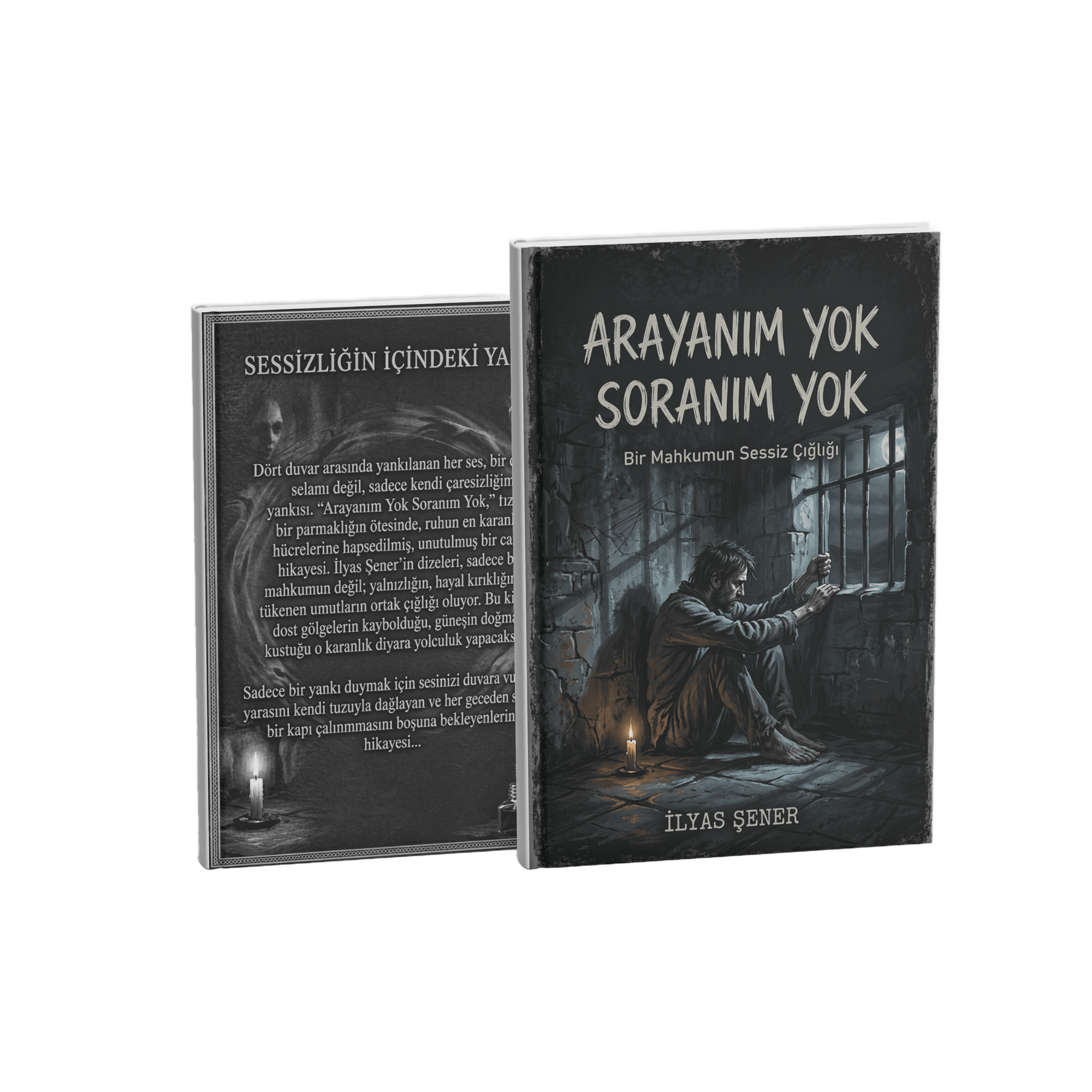 ARAYANIM YOK SORANIM YOK- İLYAS ŞENER